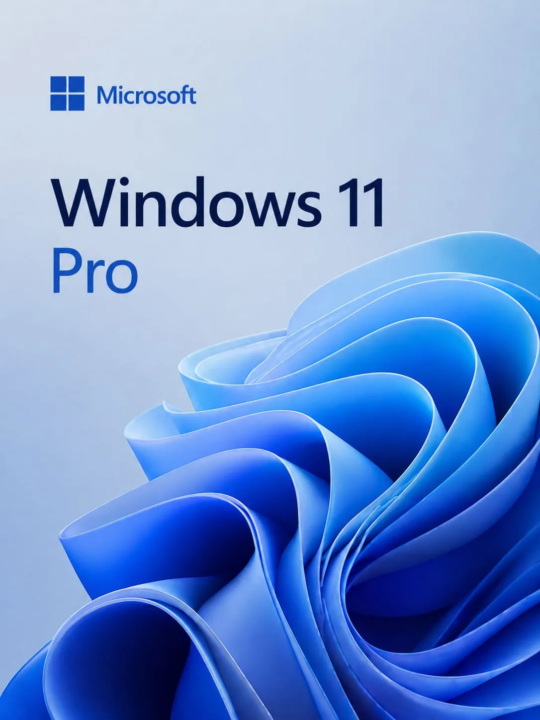 Windows 11 Pro